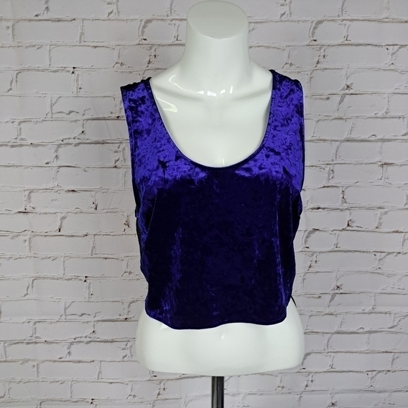 BAND of Gypsies Velvet Crop Top - Picture 3 of 10